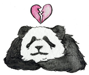 Bamboo Love | Short Story by Krista Suh | Broken-hearted Panda Illustration by Aurora Lady