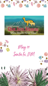 Book Signing at Que Sera Alpaca Ranch Santa Fe, NM