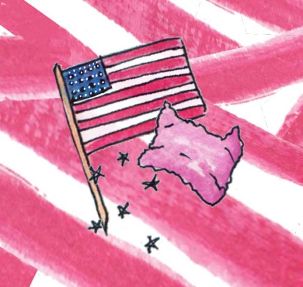 Flag and Pussyhat
