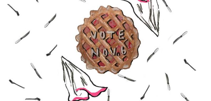 Vote November 6 Pie Illustration